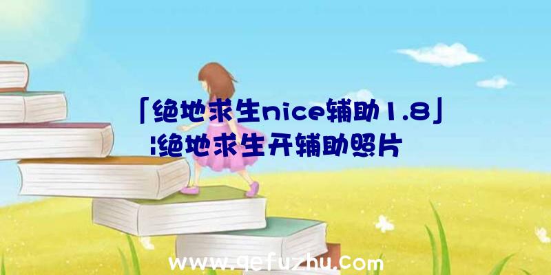 「绝地求生nice辅助1.8」|绝地求生开辅助照片